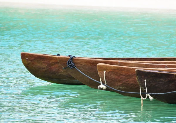 Canoas amarradas juntas perto da praia — Fotografia de Stock