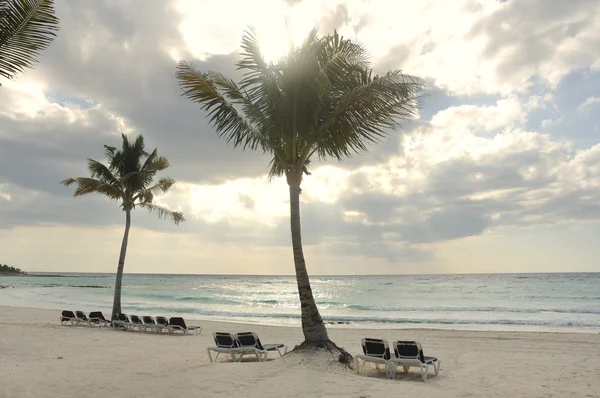 Sillas de playa bajo palmeras en la playa tropical —  Fotos de Stock