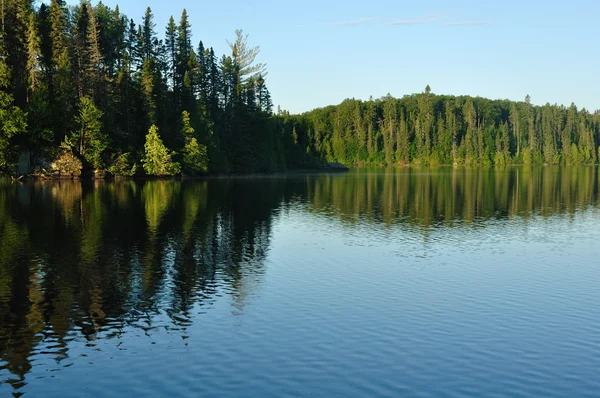 Reflektioner om en vildmark sjö — Stockfoto