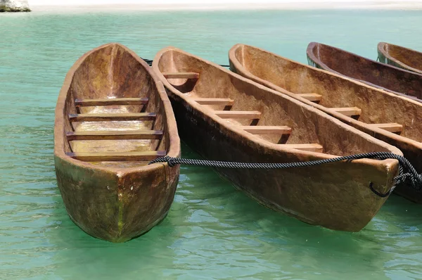 Canoas atadas juntas cerca de la playa —  Fotos de Stock