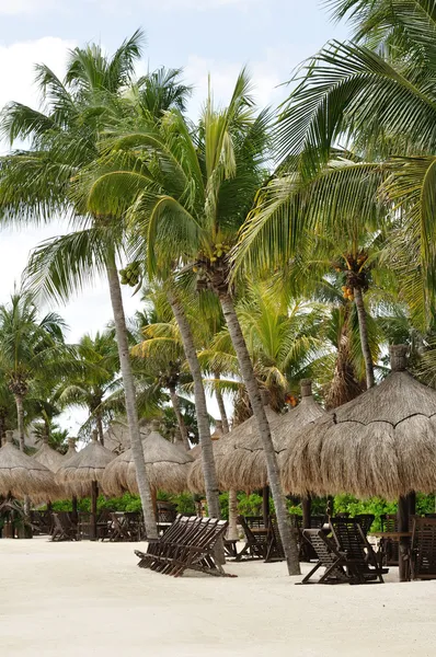Cadeiras de praia de madeira sob palmeiras na praia tropical — Fotografia de Stock