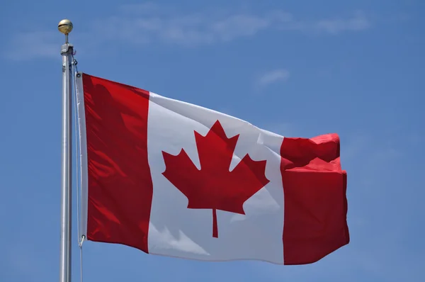캐나다 국기 — 스톡 사진