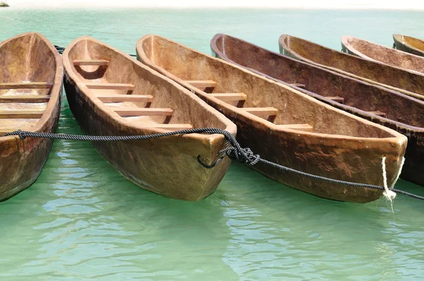 Canoas amarradas juntas perto da praia — Fotografia de Stock
