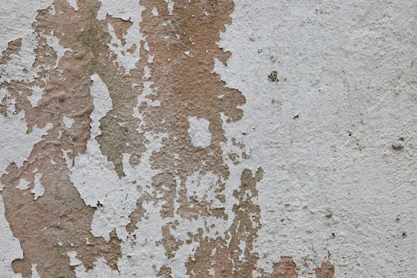 stock image Old grunge wall