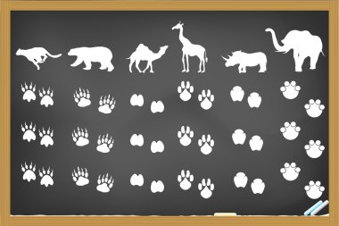 Animals footprints on blackboard clipart