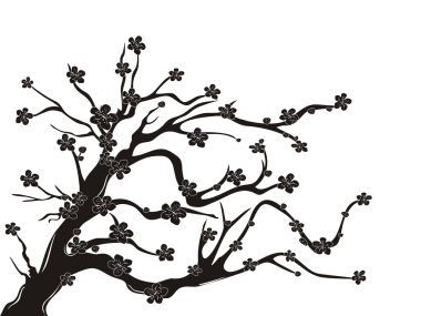 kiraz çiçeği ağacının siluet