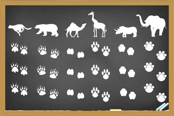 Animals footprints on blackboard — Stock Vector