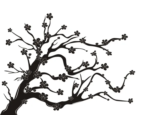 Silhouette de cerisier en fleur — Image vectorielle