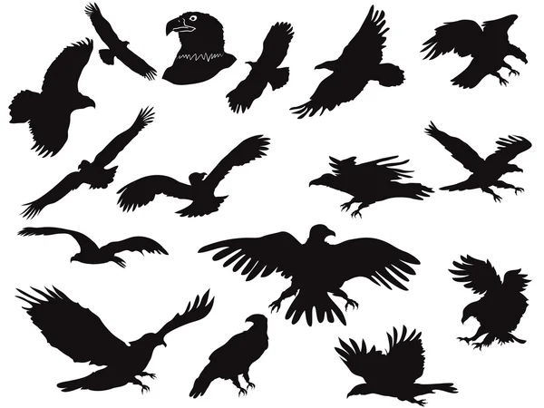 Silhouette of eagles — Stock Vector