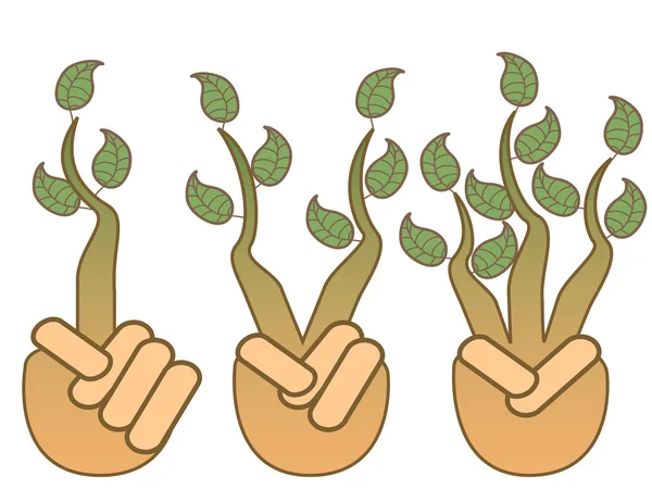 Green leaf growing from hands — Stock Vector
