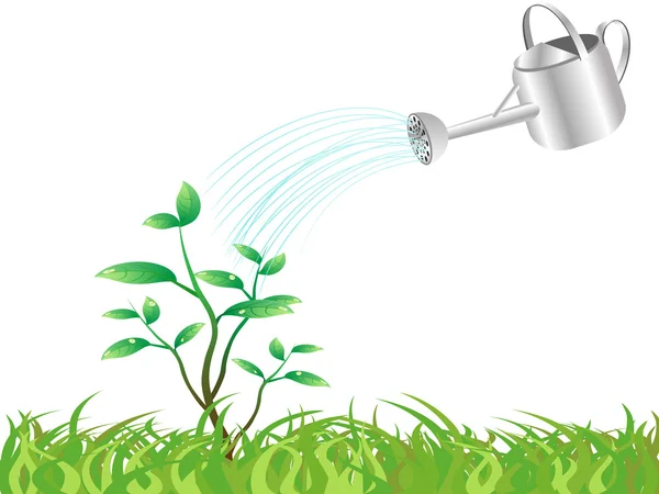 Watering the young tree — Stock Vector