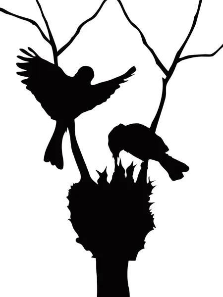 Vogels familie silhouet — Stockvector