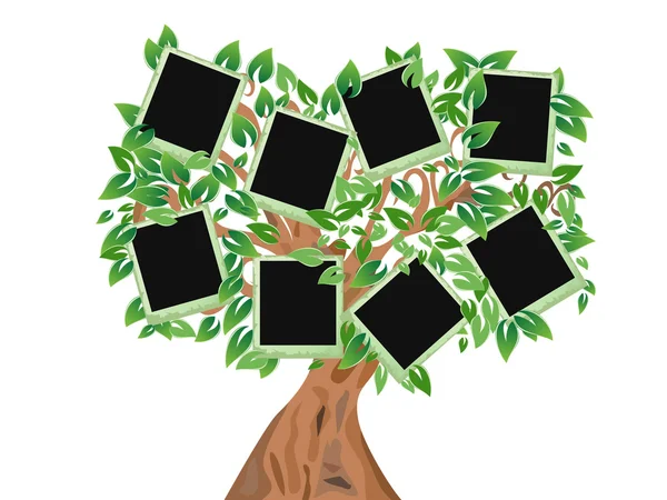 Zelený strom s rámečky pro vaše fotografie — Stockový vektor