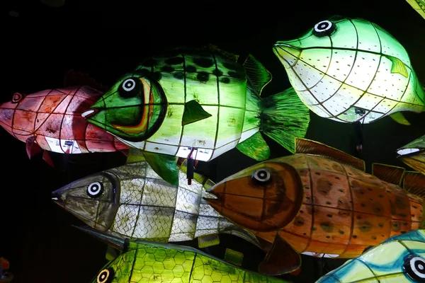 Рыбная лампа — стоковое фото