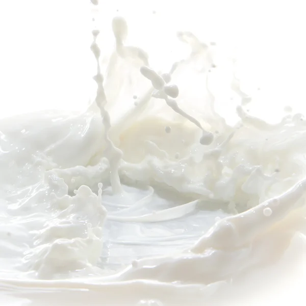 stock image Milk splash