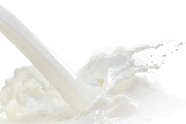 stock image Milk splash