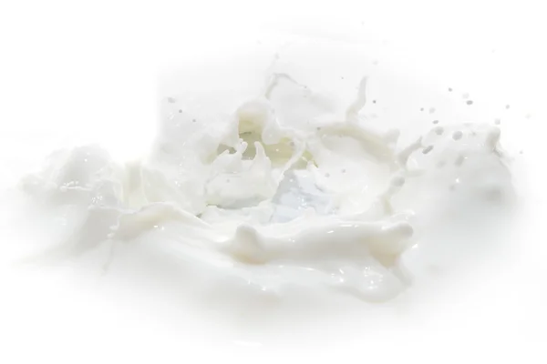 stock image Milk splash