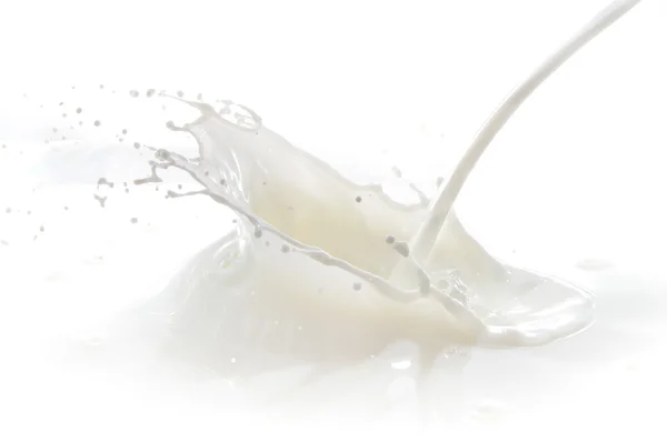 Spruzzi di latte — Foto Stock