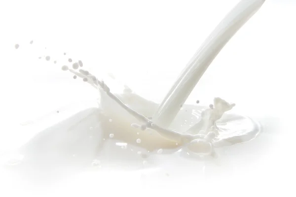 Milk splash — Stock Photo, Image