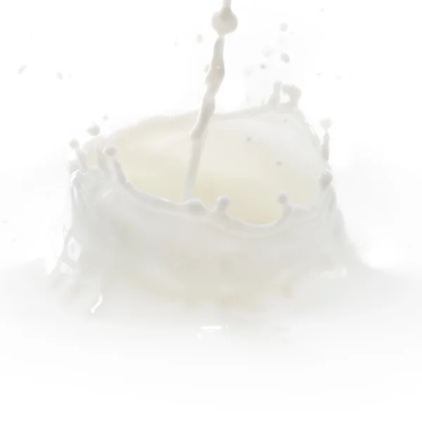 stock image Milk splash