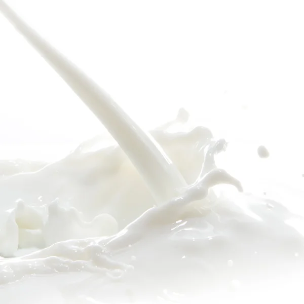 stock image Milk splash