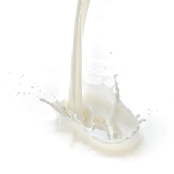 Stropire de lapte — Fotografie, imagine de stoc