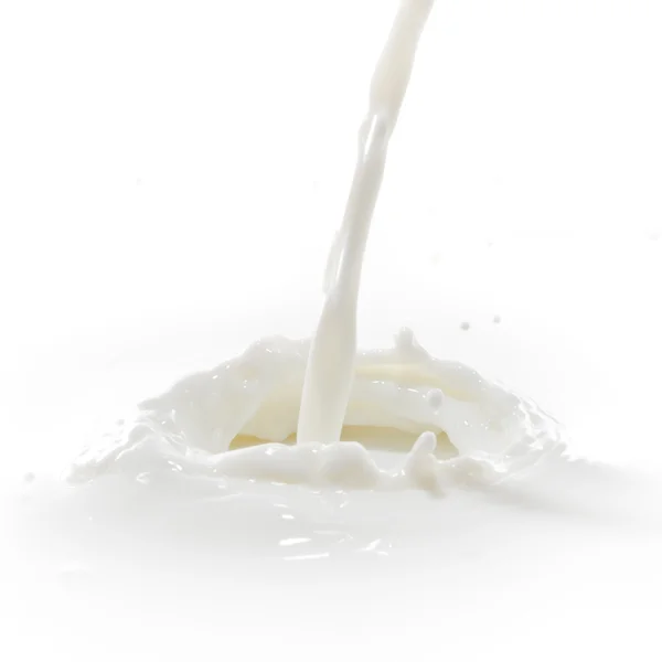 Stropire de lapte — Fotografie, imagine de stoc