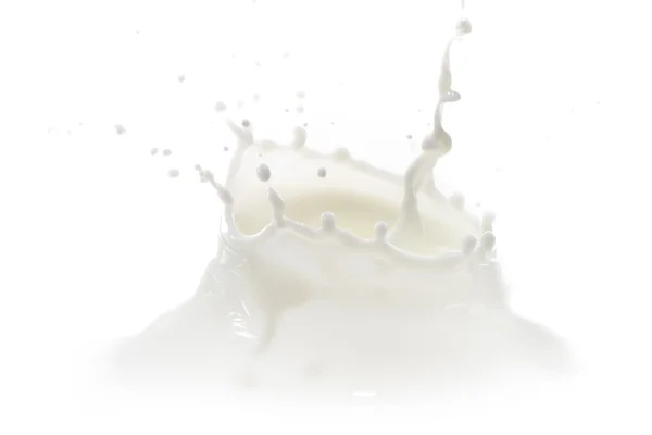 stock image Milk splash