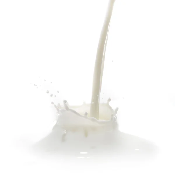 stock image Milk splash