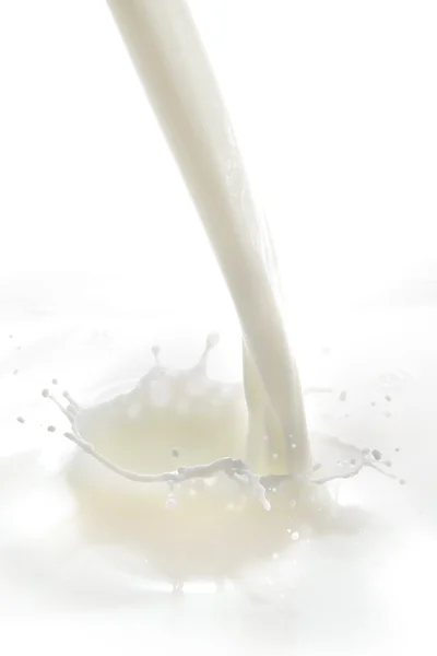 Milk splash — Stock Photo, Image