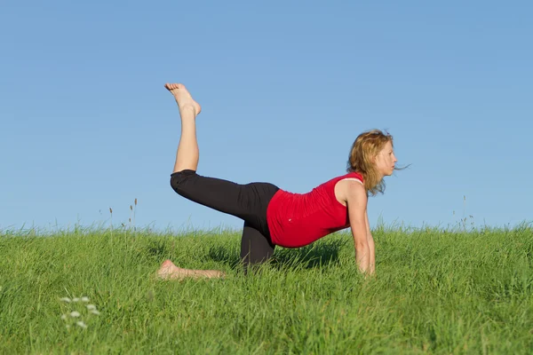 stock image Pregnant woman on meadow