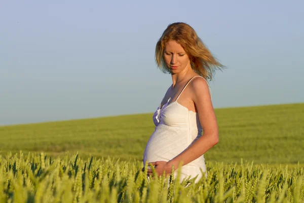 Gravid kvinde - Stock-foto