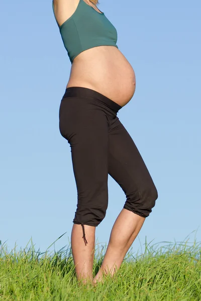 मधमाशावर गर्भवती महिला — स्टॉक फोटो, इमेज