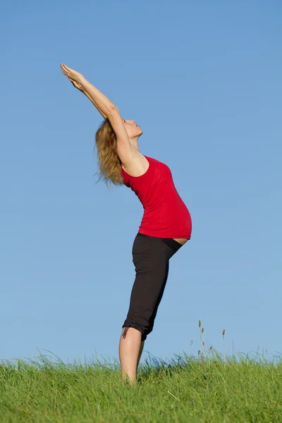 stock image Pregnant woman on meadow