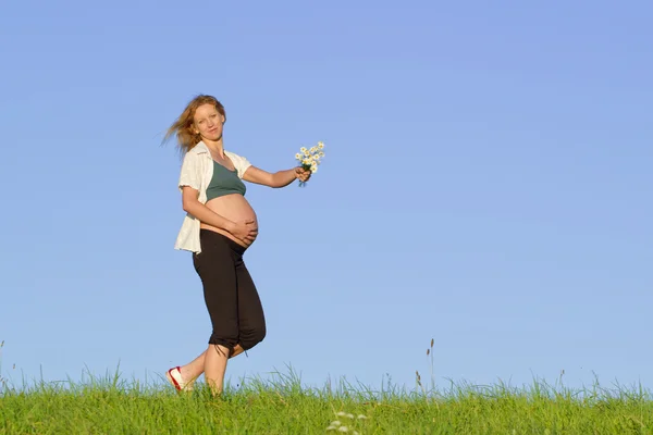 Gravid kvinne på engen – stockfoto