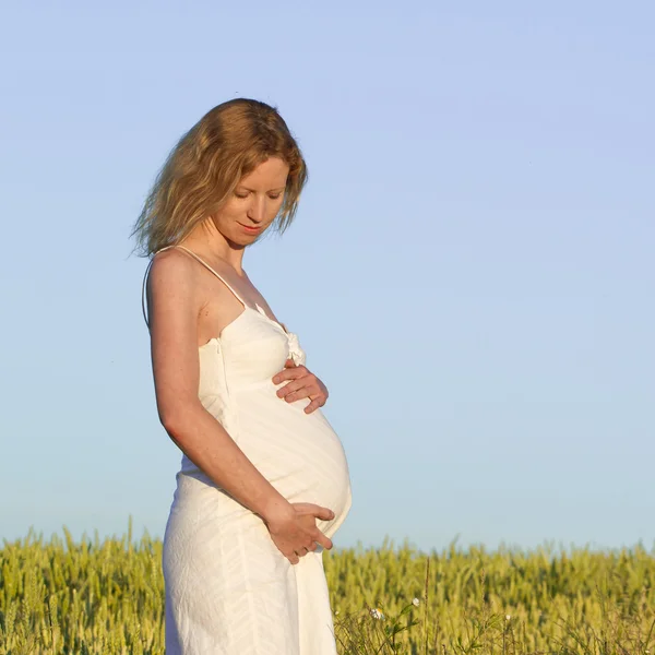 Donna incinta. Foto Stock Royalty Free