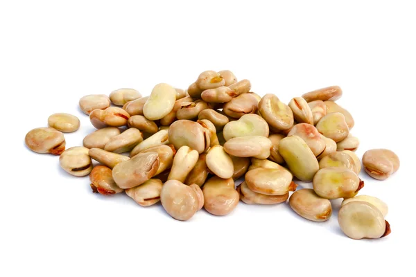 Semen fazole — Stock fotografie