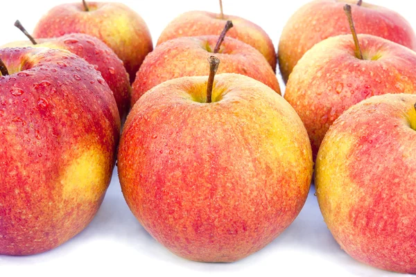 Jabłka macspur — Zdjęcie stockowe