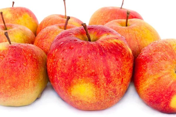 Äpplen macspur — Stockfoto