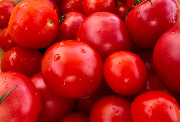 Tomates pilées — Photo