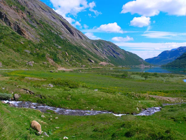 Lago nas montanhas norueguesas — Fotografia de Stock