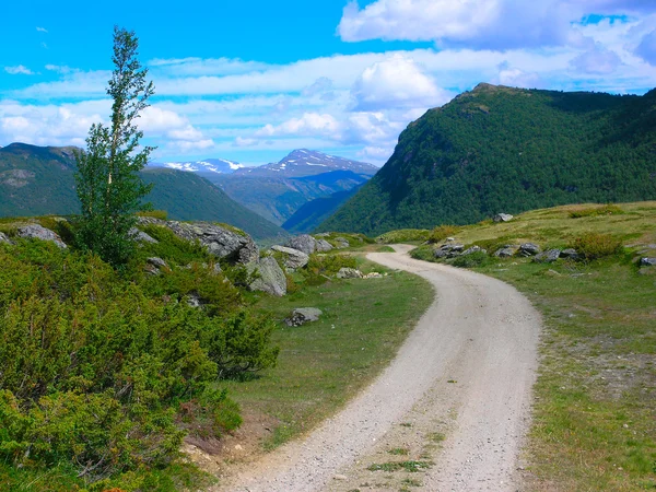 Drogi w górach Norwegii — Zdjęcie stockowe