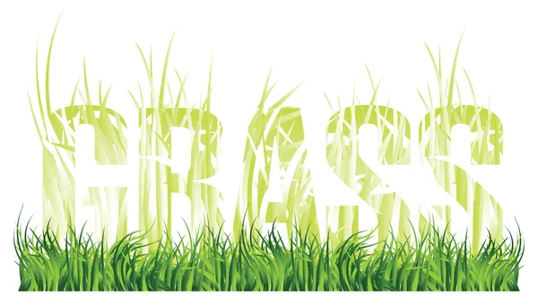 Grass and the words "grass" consisting of grass — Stock Vector