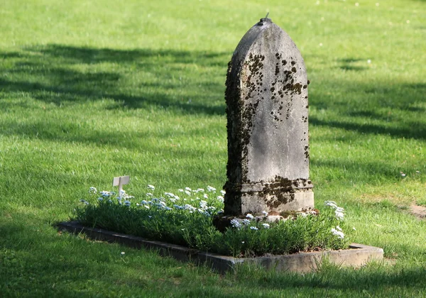 Eski mezar taşı ve sonbahar yaprakları — Stok fotoğraf