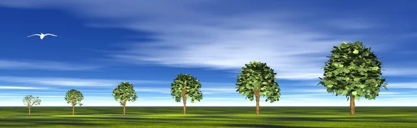 Bäume wachsen — Stockfoto