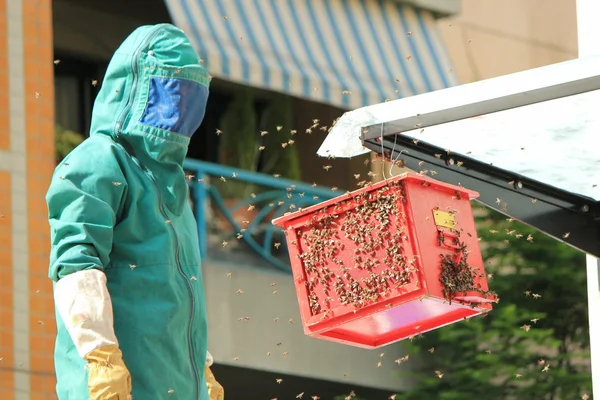 stock image Fireman and bees