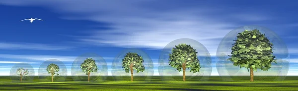 Skyddade växande träd — Stockfoto