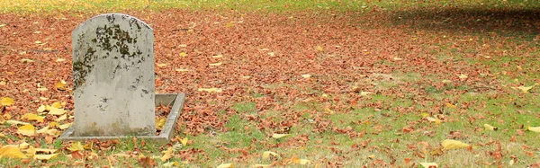 Старые надгробия и осенние листья — стоковое фото