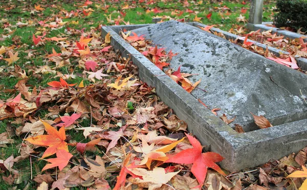 Antigua lápida y hojas de otoño — Foto de Stock