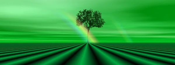 Зеленое дерево и радуга — стоковое фото